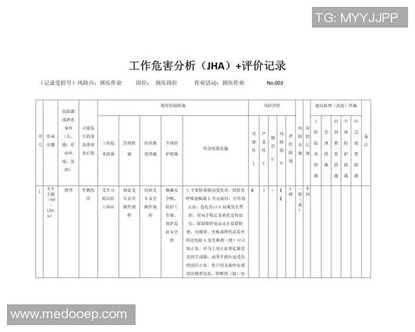 广州羽毛球队在全运会中的技术表现分析与点评探讨