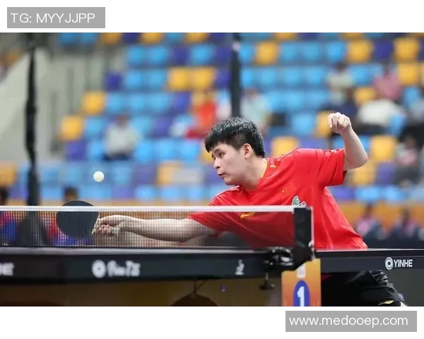 乒乓球传奇:杭州乒乓球队逆袭之路的奋斗与荣耀 乒乓球传奇:杭州乒乓球队逆袭之路的奋斗与荣耀